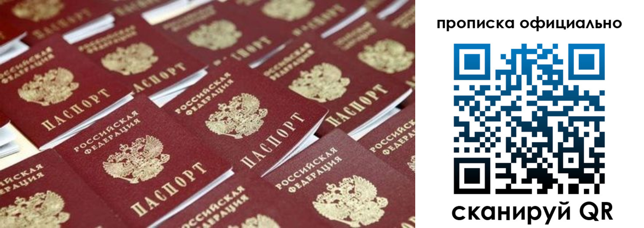 прописка гарантия в Вологде